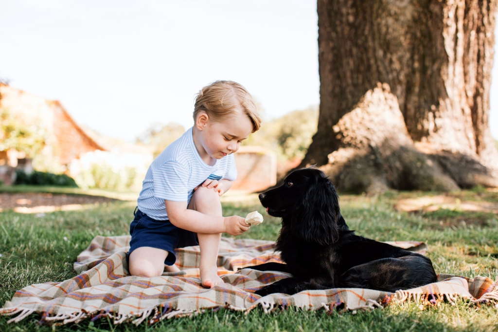 Prince George's grandmother, the late Queen Elizabeth II, also had a love for dogs. 