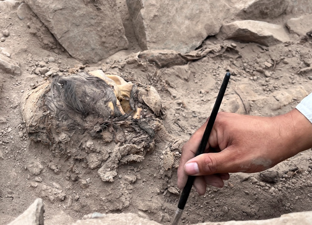 An archeologist brushes away dirt alongside the mummy's head