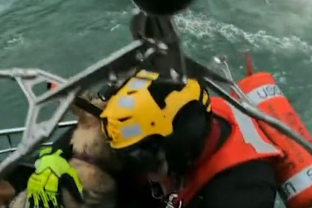 The dog lays its head on the rescuer.