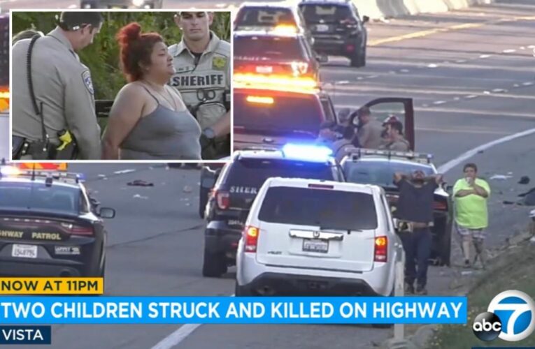 Mom arrested after 2 kids killed running onto freeway to chase luggage