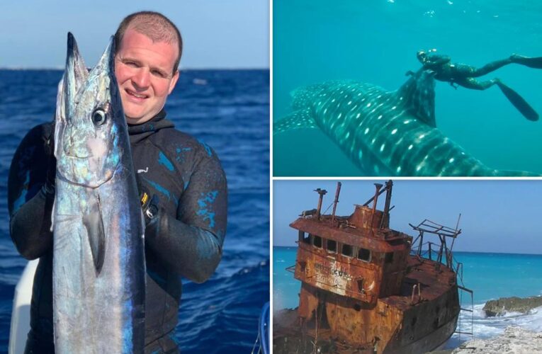 Search for Ryan Proulx called off after he vanished free diving in Bahamas