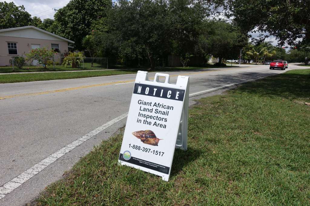 Inspectors put up street signs to alert residents that a snail-hunt is underway.