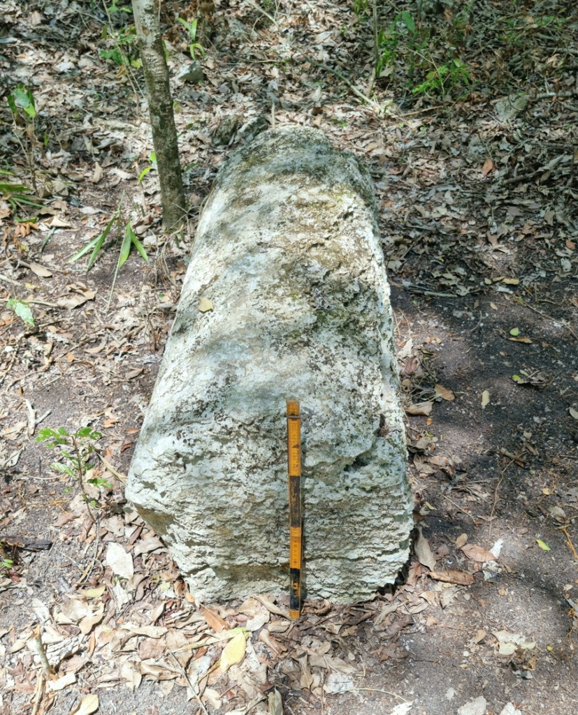 A stone column is pictured after archaeologists from Mexico's National Institute of Anthropology and History.