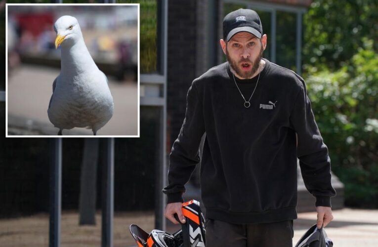David Lee jailed for performing sex act over baby seagull