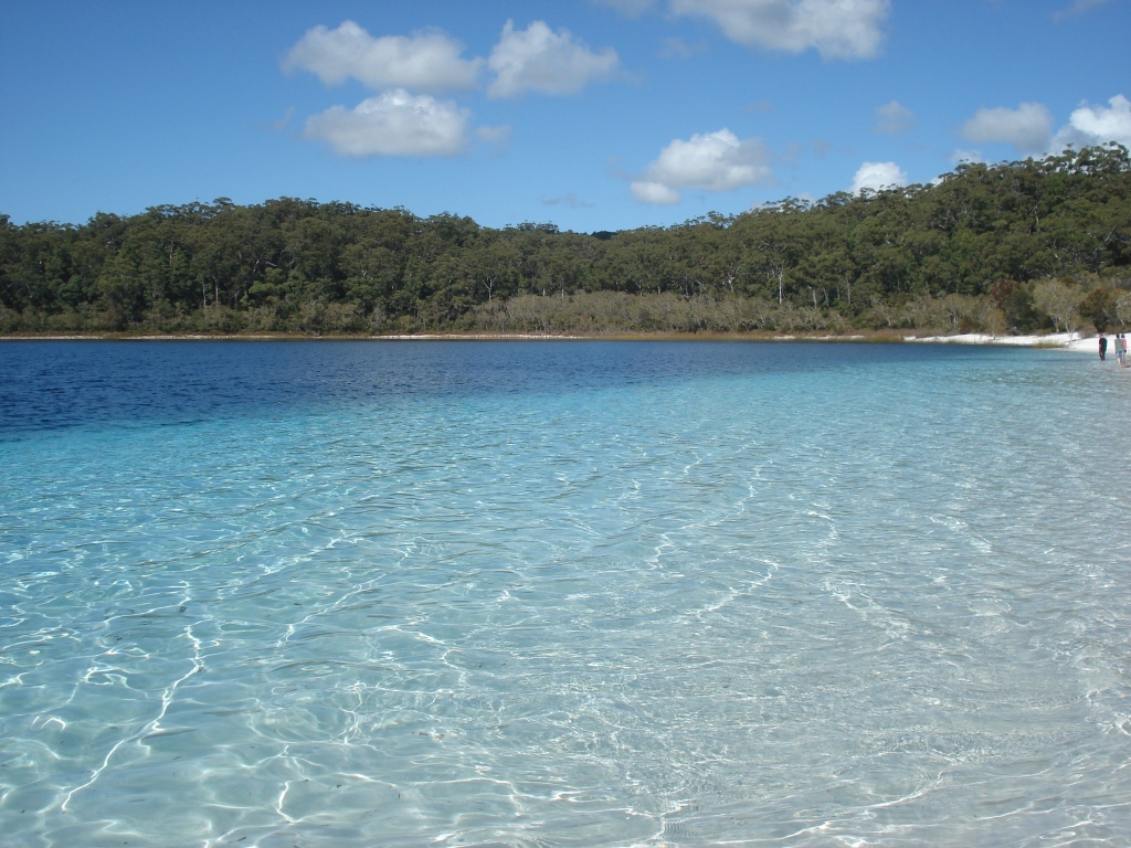 Tourists visiting K'gari Island have been warned to be aware of Dingoes. 