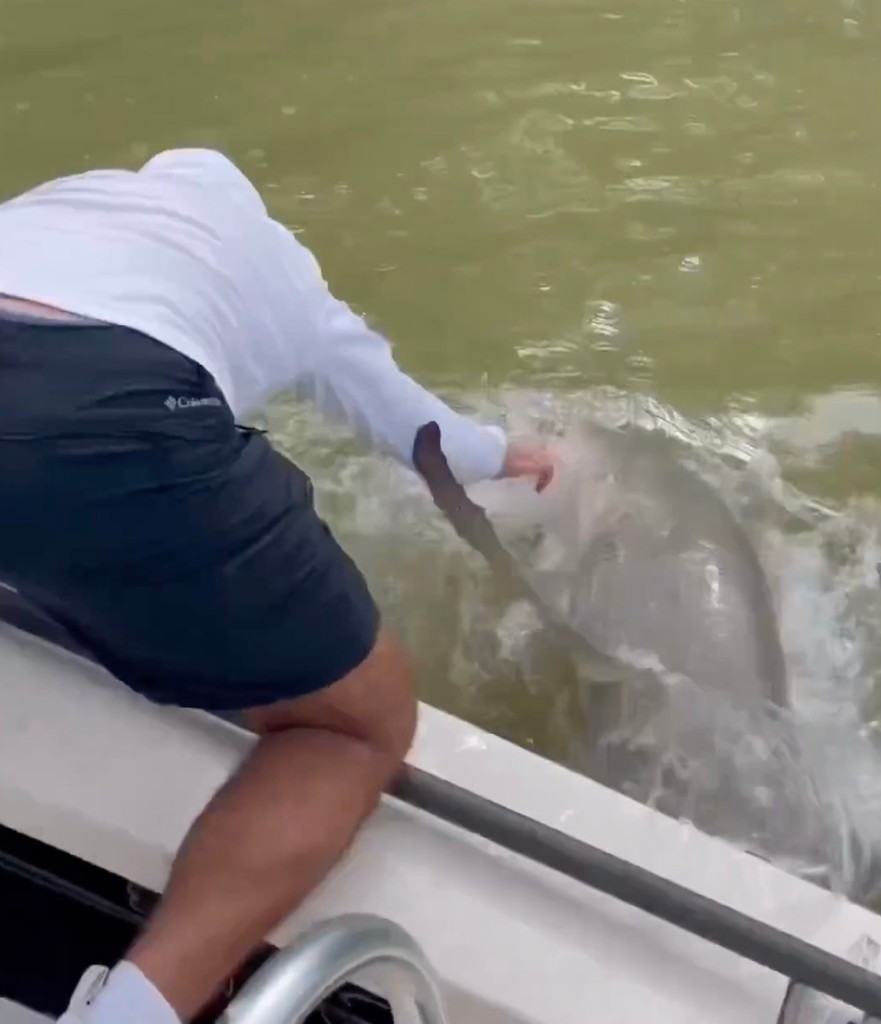 Shark bites man's hand as he dips it in the water over the side of a boat. 