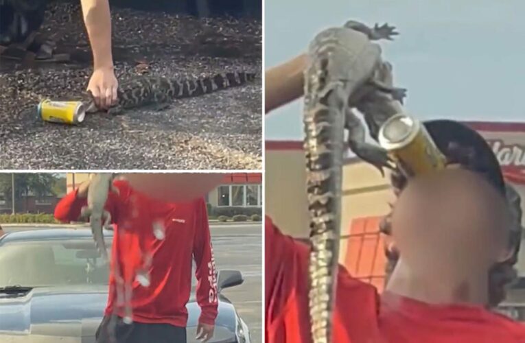 Florida teen filmed ‘shotgunning’ Twisted Tea with alligator criminally charged