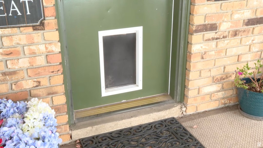 Doggy door through which the alligator climbed in