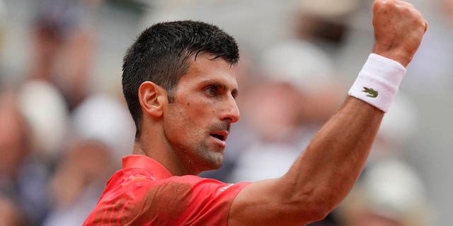 Novak Djokovic wins French Open point