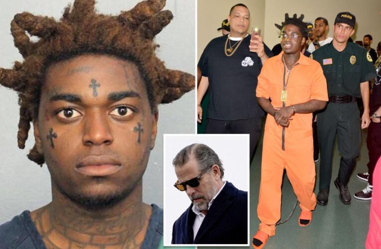 Rapper Kodak Black’s lawyer decries ‘2 tiers of justice’ after Hunter Biden plea deal 