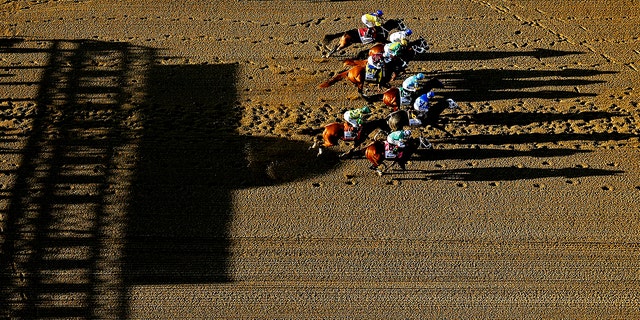 Horses racing in the 2015 Belmont Stakes