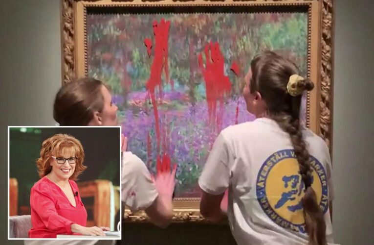 ‘View’ co-hosts berate ‘annoying’ climate activists who threw paint on Monet painting: ‘Leave art alone’