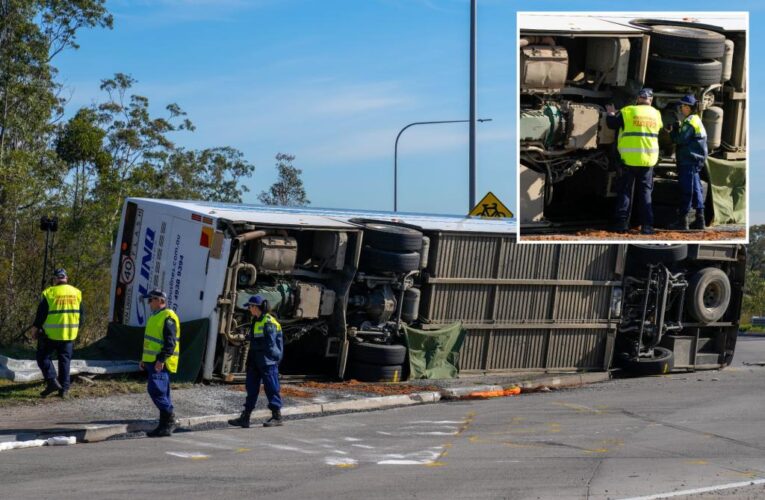 10 dead, 25 injured after bus carrying wedding guests crashes in Australia