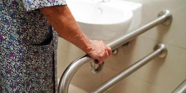 Bathroom grab bars