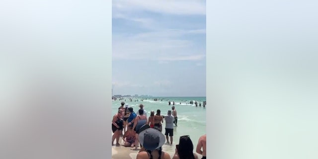 onlookers watch bear run through crowded beach