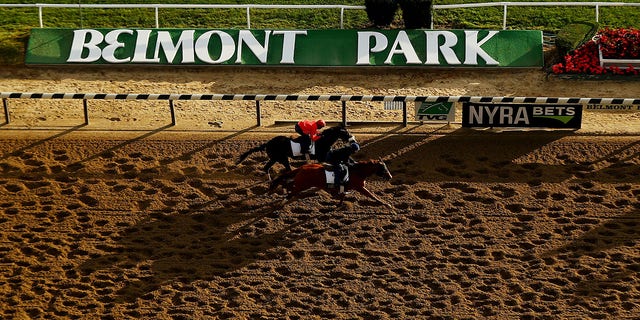 Belmont track