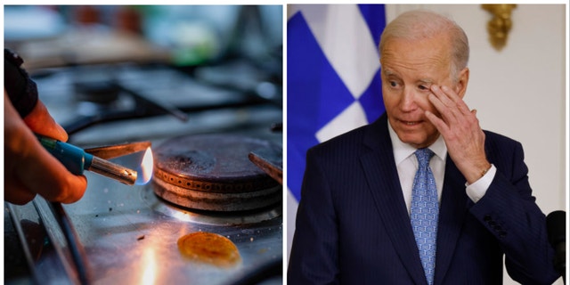 biden stoves