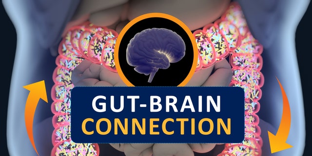 Gut-brain connection