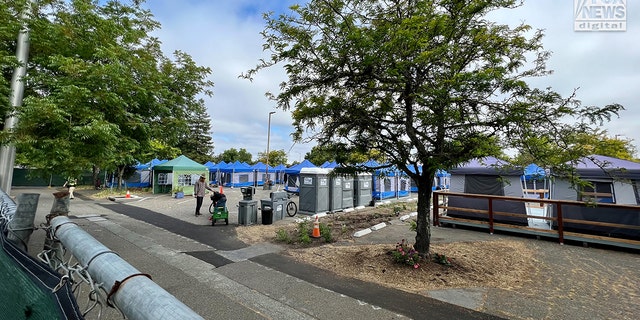 California homeless camp