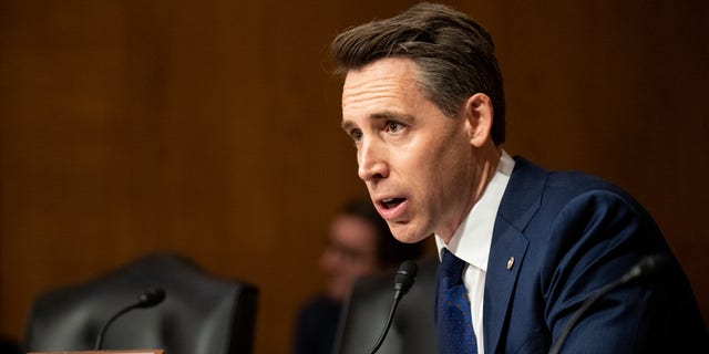 Sen. Josh Hawley speaks from the podium in a Senate hearing.