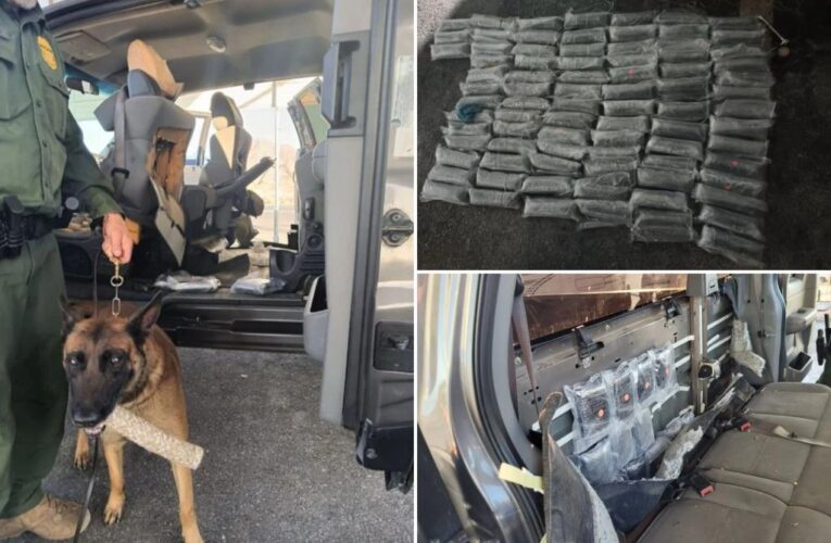 Border Patrol K-9 sniffs out $2M in fentanyl — enough to kill 48M people — during traffic stop in Arizona