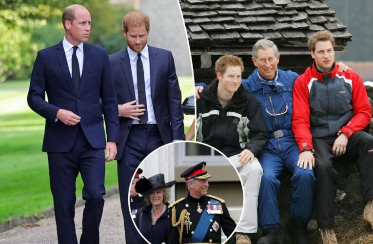 King Charles is ‘keen’ to heal rift with Prince Harry: royal expert