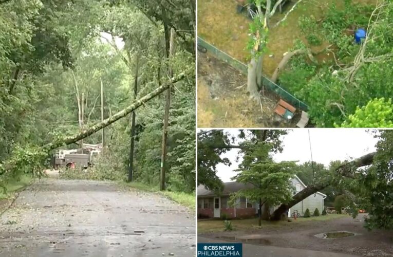 NJ faces 9th tornado of 2023, with twister taking down trees, power line