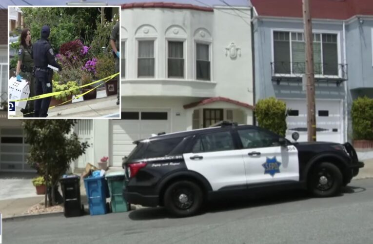 San Francisco lawyer Marc Child kills mother, family dog before police fatally shoot him