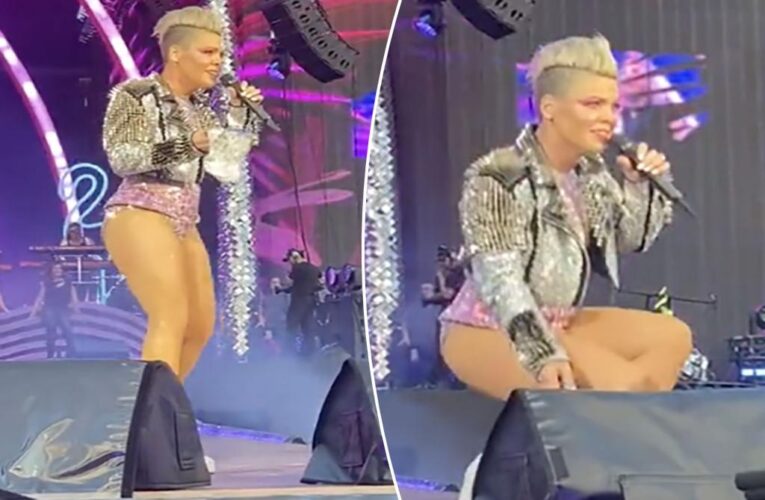 Pink shocked as fan throws mother’s ashes on-stage