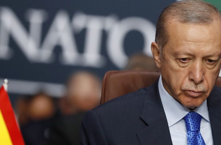 State of the Union: Turkey drops Sweden NATO veto