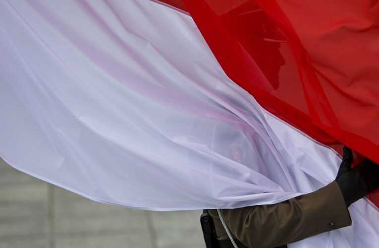 European Parliament calls for a ‘full-scale observation mission’ in upcoming Polish election
