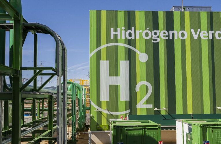 EU should replicate joint gas purchases for hydrogen, critical raw materials – Commissioner