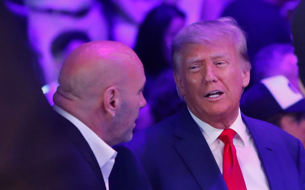 Trump and UFC President Dana White were seen talking at UFC 290 on Saturday.