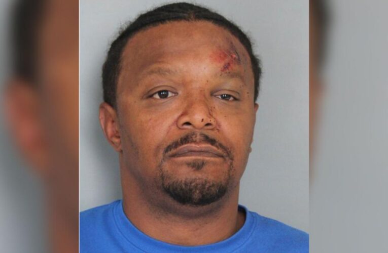 Delaware man Jamal Wing bites police dog while evading arrest