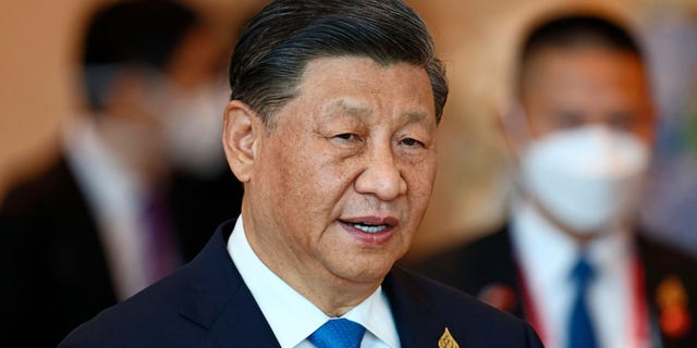 China's President Xi Jinping