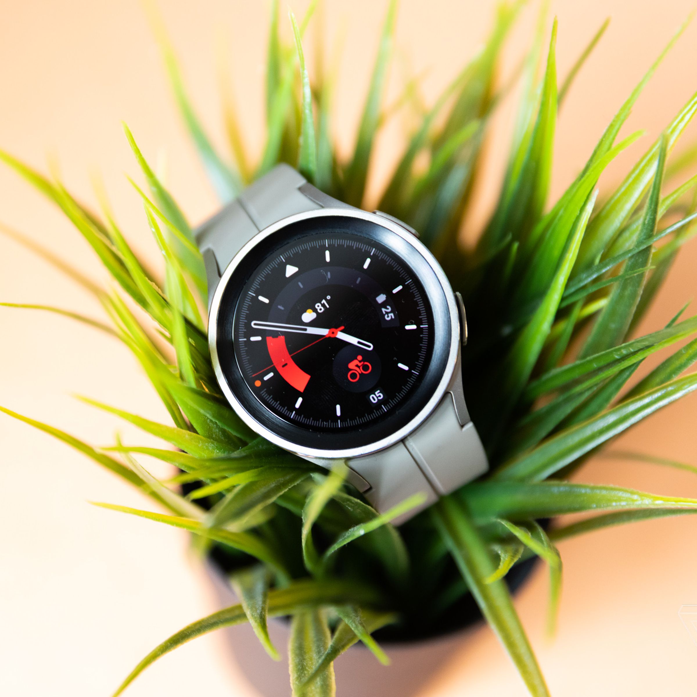 Pic of the Galaxy Watch 5 Pro on a plant