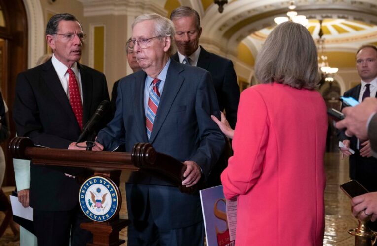 Video: McConnell Freezes During News Conference
