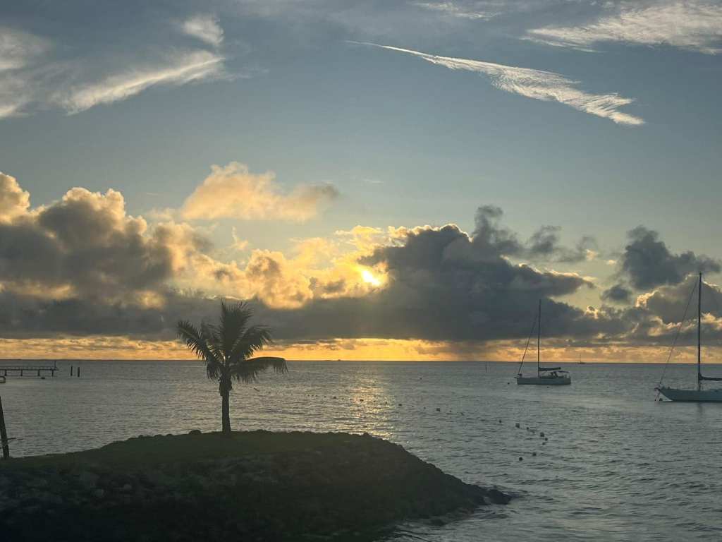 The 13-month-old toddler, named Māhina Toki, died on Friday after falling from the catamaran Kalamari which was docked in Musket Cove in western Fiji.