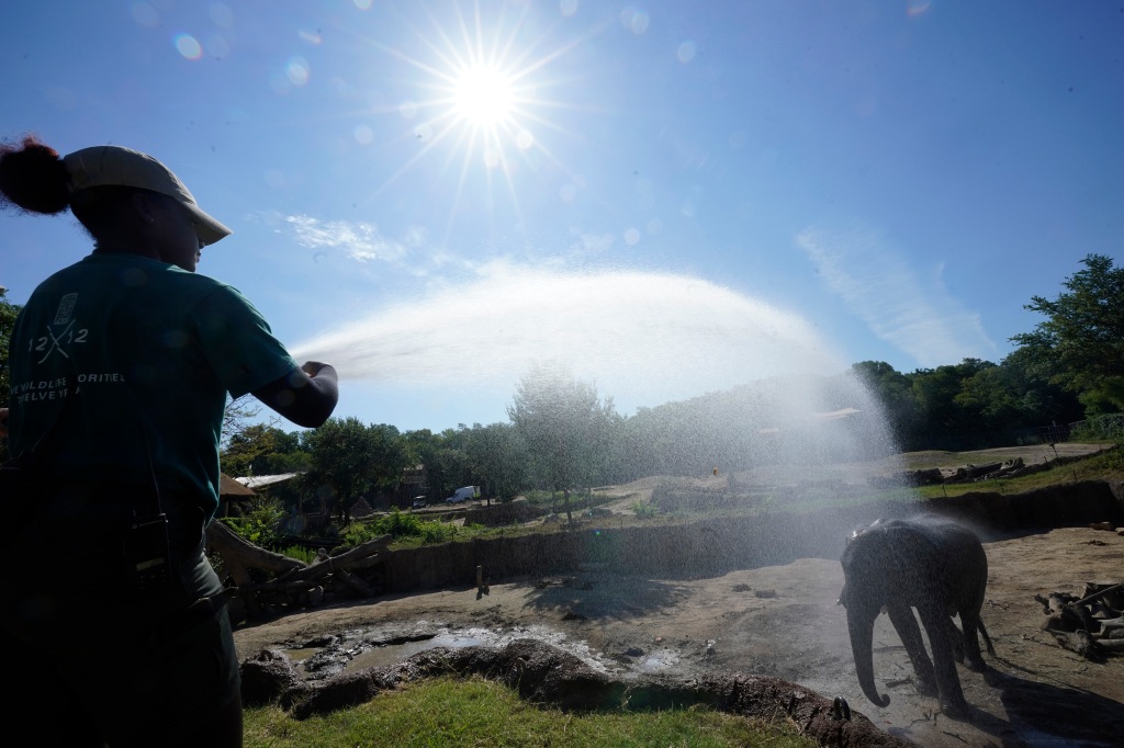 Kapnick says the heat is caused by El Nino warming of the Pacific that heats up the globe.