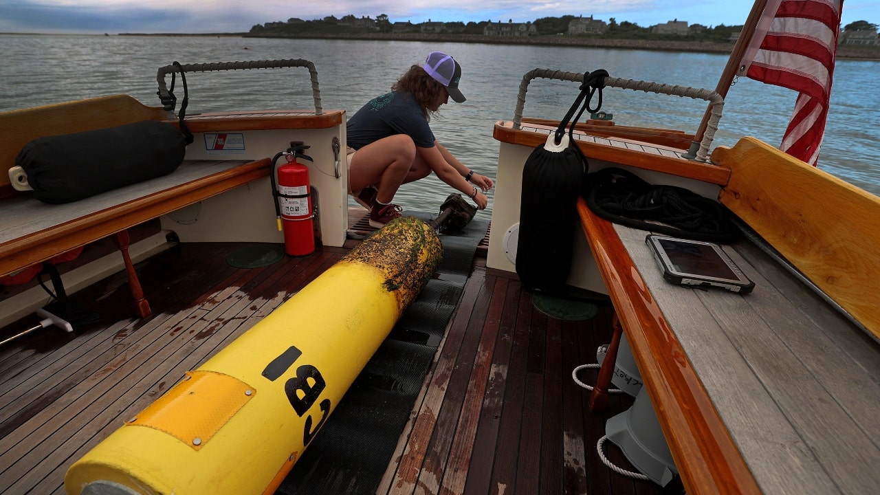 An intern with the Atlantic White Shark Conservancy on a boat in Chatham, Massachusetts