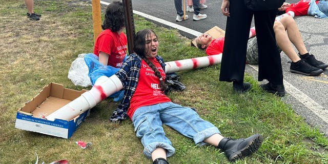 Climate activists are pictured protesting at the East Hampton Airport on Friday.