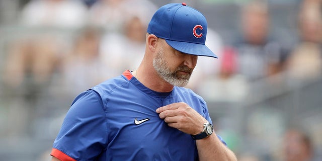 David Ross walks off field