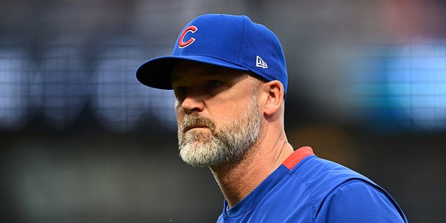 David Ross looks on field