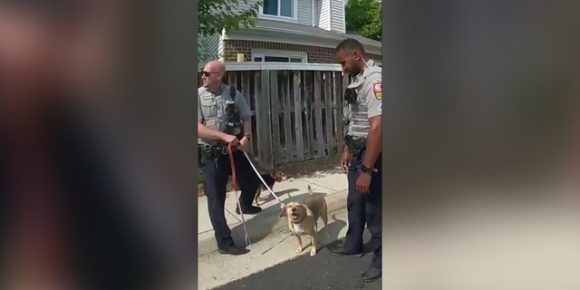 Police officers hold a rescued dog by its leash