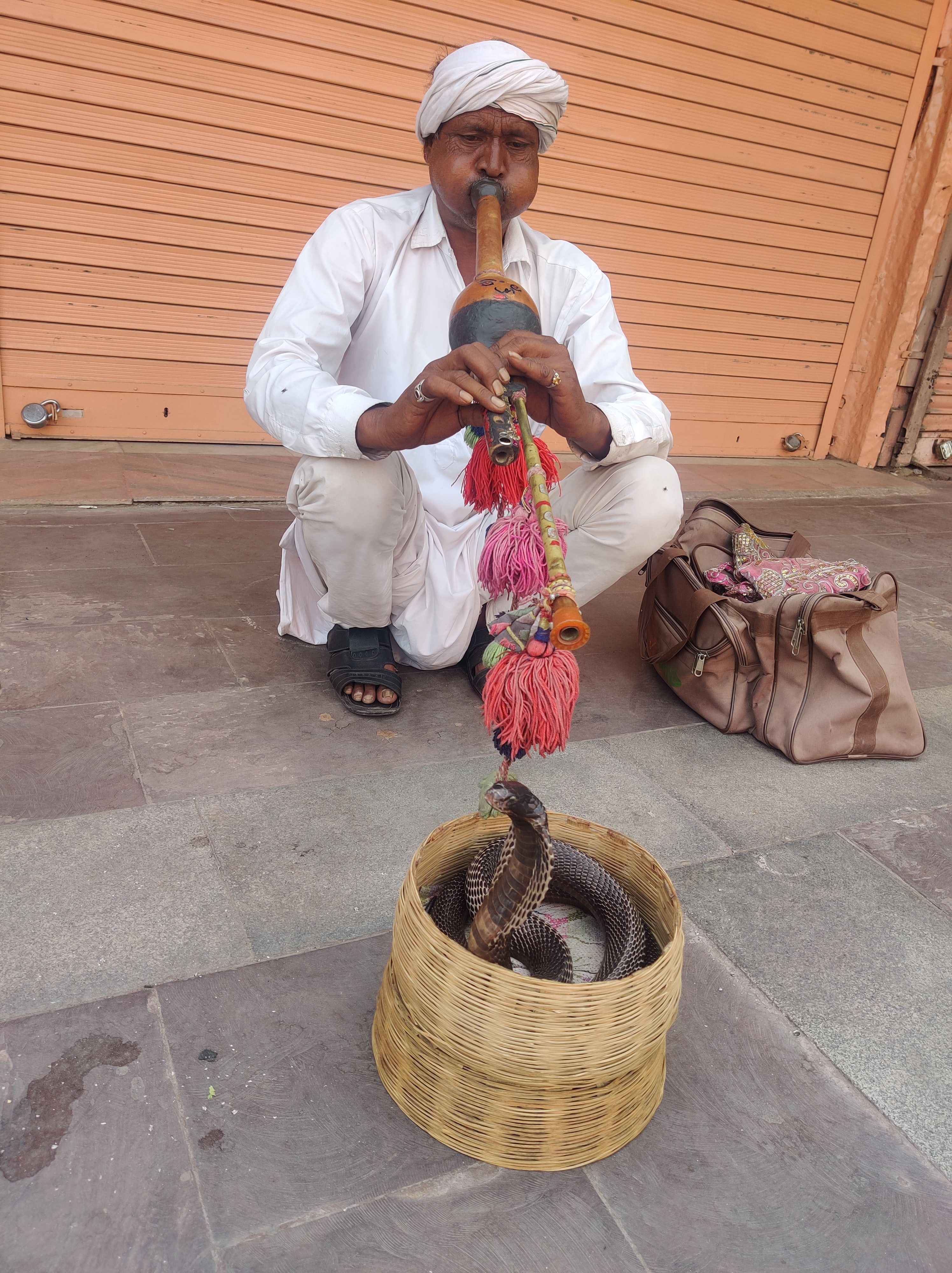 India snake charmer