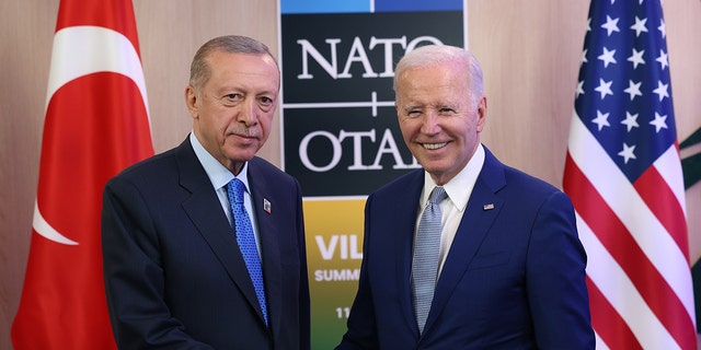 Erdogan, Biden shaking hands