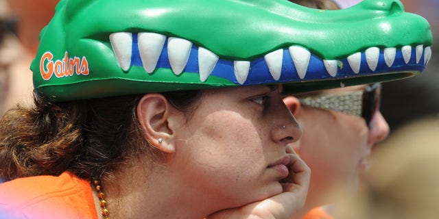 Florida Gators fan 