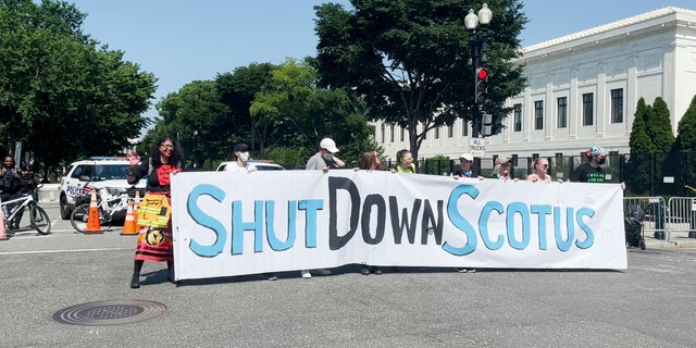 Supreme Court protestors