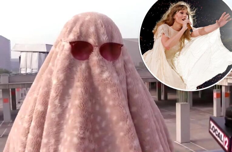 Taylor Swift fan wears disguise to concert after calling in sick