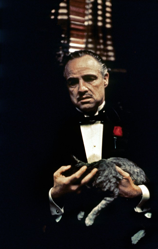 Marlon Brando holding a cat in a scene from "The Godfather"